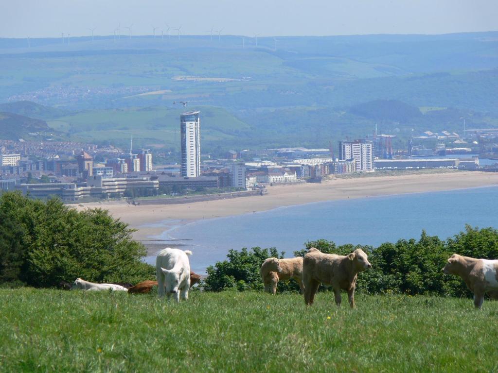 Willa Clyne Farm Centre The Mumbles Zewnętrze zdjęcie