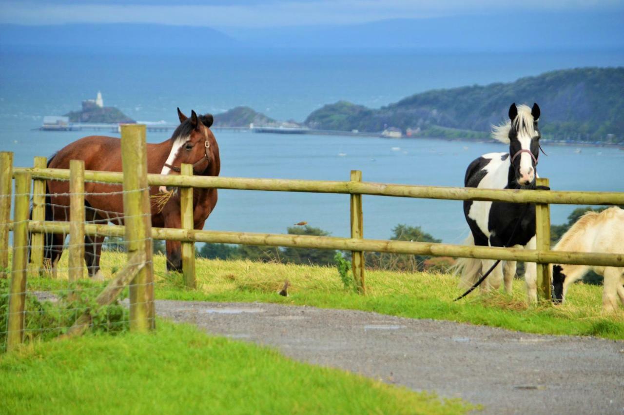 Willa Clyne Farm Centre The Mumbles Zewnętrze zdjęcie